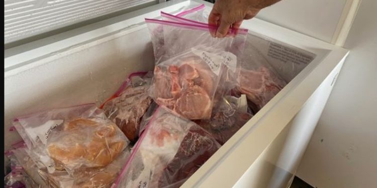 Alldaynews.gr Έκρυβε το πτώμα της μητέρας της στον καταψύκτη για δέκα χρόνια