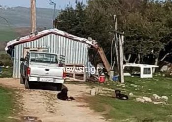 Αποκάλυψη για το φονικό: Σε βιντεοκλήση η σ3ξουαλική επίθεση και η δολοφονία