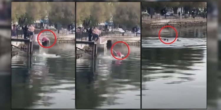 evoia-stayros-arthro