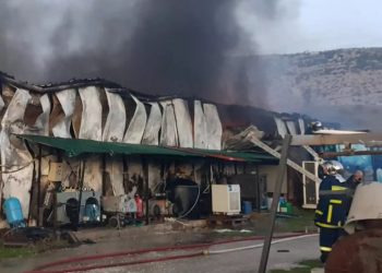 Alldaynews.gr ifantis Υφαντής