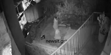 Alldaynews.gr Βίντεο ντοκουμέντο: Διαρρήκτες αδειάζουν ξενοδοχείο στο Θησείο – Άναυδος ο ιδιοκτήτης από την απάντηση των αστυνομικών