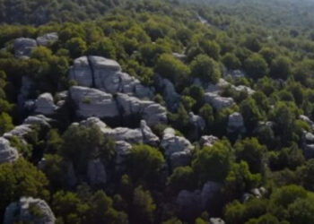 Πέτρινο Δάσος: Το εκπληκτικό και σπάνιο αξιοθέατο της Ηπείρου που λίγοι γνωρίζουν [video]