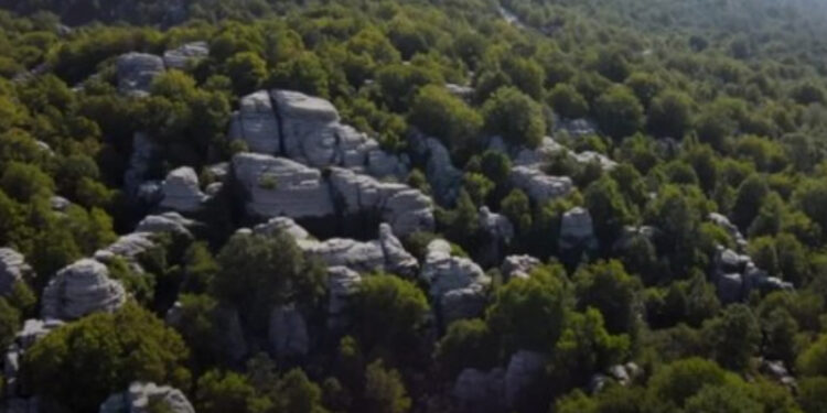 Πέτρινο Δάσος: Το εκπληκτικό και σπάνιο αξιοθέατο της Ηπείρου που λίγοι γνωρίζουν [video]