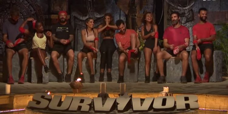 Alldaynews.gr survivor