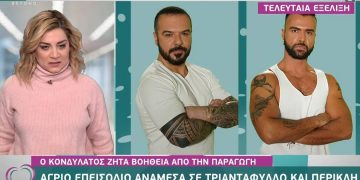 Alldaynews.gr Survivor – Spoiler: Άγριο επεισόδιο ανάμεσα σε Τριαντάφυλλο και Περικλή (vid)