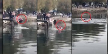 Alldaynews.gr Ραγίζει καρδιές το μήνυμα του αδερφού του 25χρονου Γιάννη! “Πάλεψε για Χάρη μου όπως παλεύω κι εγώ για Σένα τόσους Μήνες”