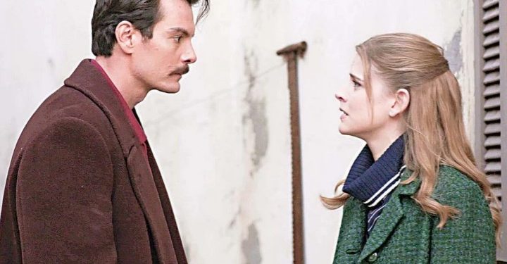 Alldaynews.gr αγριες μέλισσες