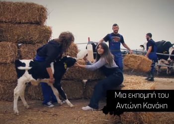 Το Δελτίο Ειδήσεων του Ράδιο Αρβύλα «πετσόκοψε» τους …δημοσιογράφους