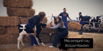 Alldaynews.gr Το Δελτίο Ειδήσεων του Ράδιο Αρβύλα «πετσόκοψε» τους …δημοσιογράφους