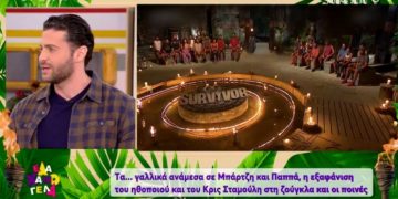 Alldaynews.gr Survivor: Aποκάλυψη Βασάλου για τον λόγο της ποινής σε Παππά-Σταμούλη
