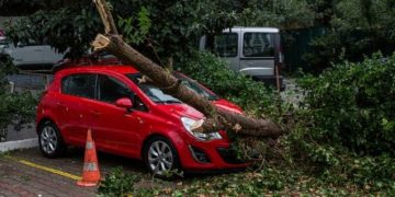 Alldaynews.gr Μήδεια: Πώς αποζημιώνονται όσοι έπαθαν ζημιές από πτώση δέντρων στα αυτοκίνητά τους