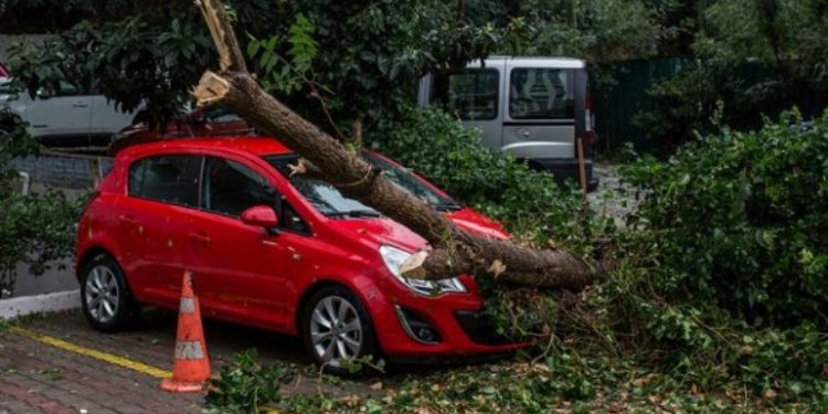 Alldaynews.gr Μήδεια: Πώς αποζημιώνονται όσοι έπαθαν ζημιές από πτώση δέντρων στα αυτοκίνητά τους