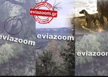 Θρίλερ με τον άντρα που βρέθηκε Κρεμασμένος στο δάσος[Σοκαριστικές Εικόνες]