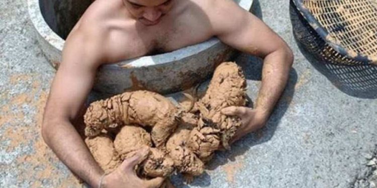 Άνοιξε την αποχέτευση, κατέβηκε και έσωσε 5 κουτάβια που πνίγονταν στη λάσπη. Τα υιοθέτησε[photos]