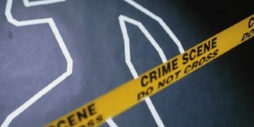 Alldaynews.gr Να πληρώνονται οι εγκληματίες για να μη σκοτώνουν! Πρόταση ακτιβιστή για να μειωθούν οι φόνοι