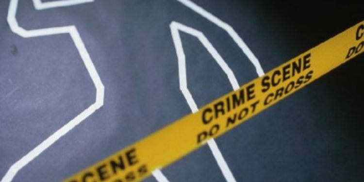 Alldaynews.gr Να πληρώνονται οι εγκληματίες για να μη σκοτώνουν! Πρόταση ακτιβιστή για να μειωθούν οι φόνοι