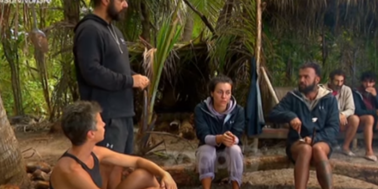 Alldaynews.gr survivor