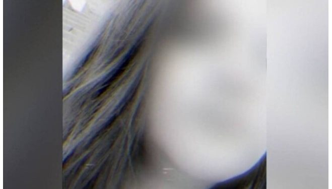 Alldaynews.gr Θάνατος 16χρονης Μαργαρίτας εξαιτίας των επιπλοκών από κορονοϊό-Σοκάρει η ιατροδικαστική εξέταση