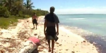 Alldaynews.gr pappas_stamoulis