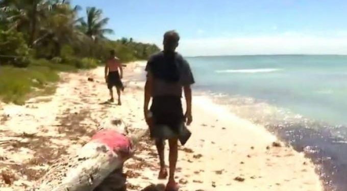 Alldaynews.gr pappas_stamoulis