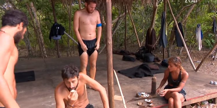 Alldaynews.gr survivor