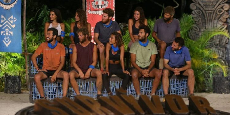 Alldaynews.gr survivor