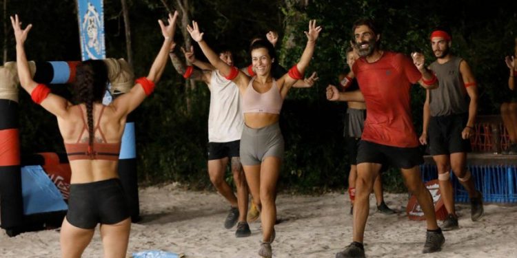 Alldaynews.gr survivor