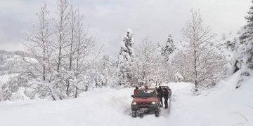 Alldaynews.gr Μήδεια-Κρήτη: Βρέθηκαν οι τρεις κτηνοτρόφοι που αγνοούνταν στο Ρέθυμνο