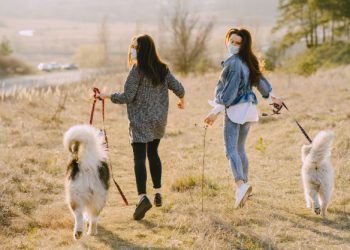 skylia-σκυλιά-λουριά