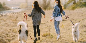 Alldaynews.gr skylia-σκυλιά-λουριά