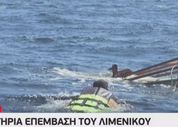 Εντυπωσιακή διάσωση γατιών από ναυάγιο[video]