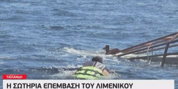 Εντυπωσιακή διάσωση γατιών από ναυάγιο[video]