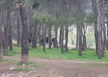 Νέο θρίλερ: Περπατούσαν στο άλσος και βρήκαν πτώμα άντρα σε παγκάκι[photo]