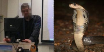 Alldaynews.gr Δάγκωμα Κόμπρας: Κρίσιμες ώρες για τον 30χρονο ψυχολόγο, λάτρη των φιδιών