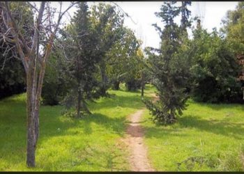 Νέα Τραγωδία στην Ελλάδα-5χρονο κοριτσάκι Βρέθηκε κρεμασμένο από ένα σκοινί[video]