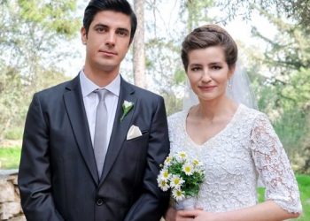 Άγριες Μέλισσες