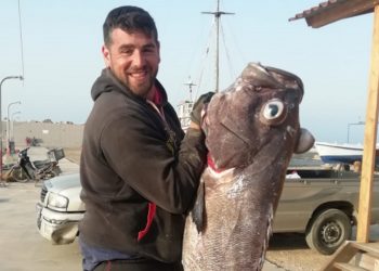 pasari Μουρίκης Σάμος ψάρι