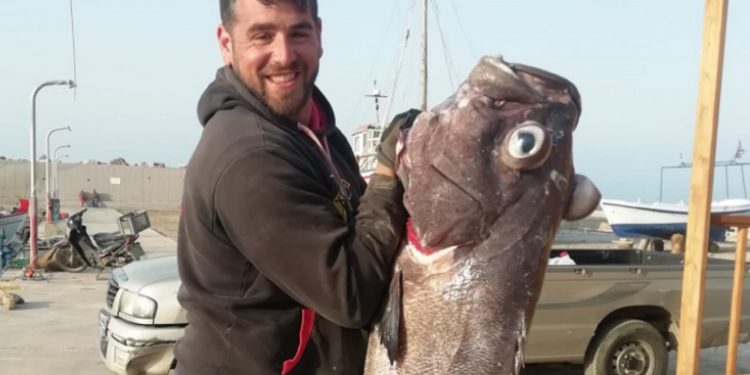 Alldaynews.gr pasari Μουρίκης Σάμος ψάρι