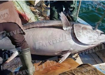 Έπιασαν ψάρι που δεν χωρούσε μέσα στο καϊκι τους[Δείτε Φωτογραφίες]