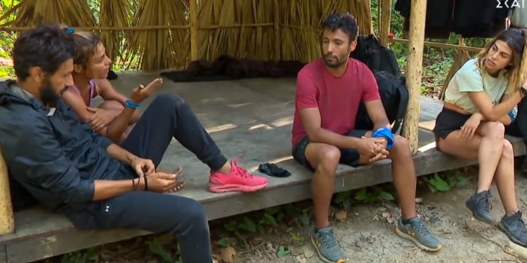 Alldaynews.gr survivor