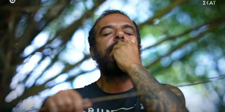 Alldaynews.gr survivor