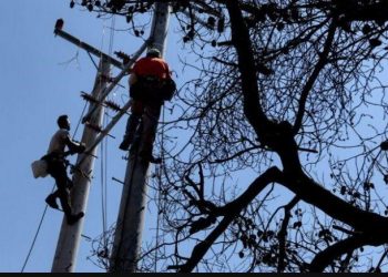 Νέα τραγωδία στη ΔΕΗ: Δύο τεχνίτες νεκροί σε δυστύχημα-Έπεσαν από ύψος 70 μέτρων