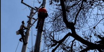 Alldaynews.gr Νέα τραγωδία στη ΔΕΗ: Δύο τεχνίτες νεκροί σε δυστύχημα-Έπεσαν από ύψος 70 μέτρων