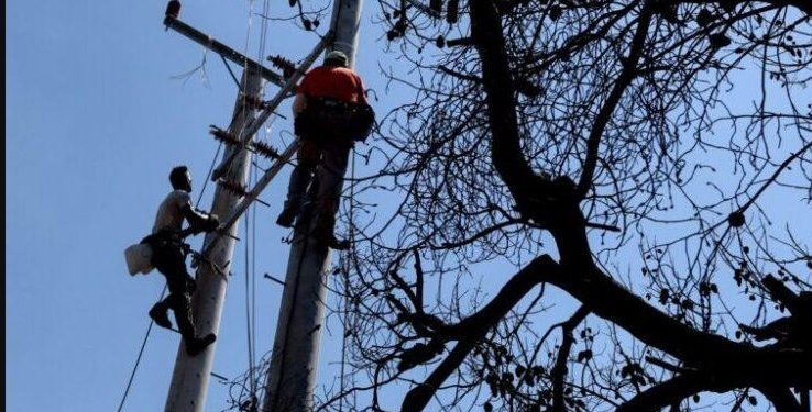 Alldaynews.gr Νέα τραγωδία στη ΔΕΗ: Δύο τεχνίτες νεκροί σε δυστύχημα-Έπεσαν από ύψος 70 μέτρων