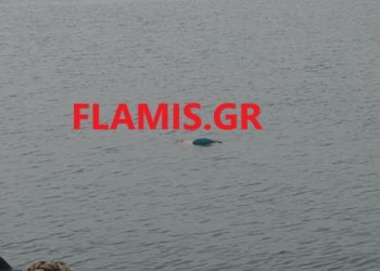 Σκηνές θρίλερ: Έκαναν βόλτα στο λιμάνι και είδαν το πτώμα του 40χρονου[Φωτογραφίες]