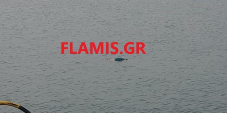 Σκηνές θρίλερ: Έκαναν βόλτα στο λιμάνι και είδαν το πτώμα του 40χρονου[Φωτογραφίες]