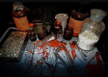 Σκέτη Κόλαση: Άνδρας έπνιξε, τεμάχισε και έφαγε τη μητέρα του