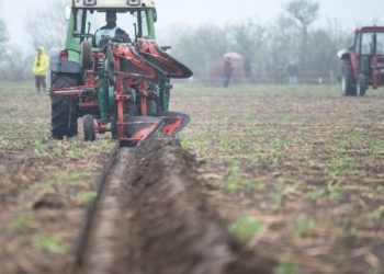 Μικρό αρχικό κεφάλαιο, χωρίς πάγια έξοδα: Η καλλιέργεια που αποφέρει εισόδημα 900€ το κιλό είναι η πιο έξυπνη επένδυση