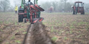 Alldaynews.gr Μικρό αρχικό κεφάλαιο, χωρίς πάγια έξοδα: Η καλλιέργεια που αποφέρει εισόδημα 900€ το κιλό είναι η πιο έξυπνη επένδυση