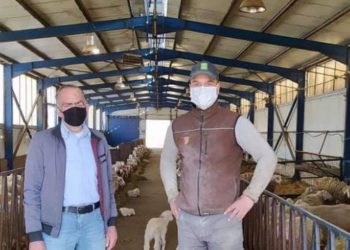 Από άστεγος στους δρόμους της Αθήνας, κτηνοτρόφος στην Κοζάνη